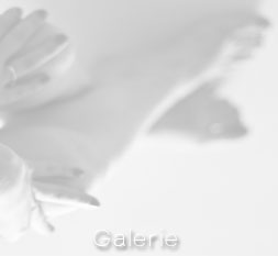 Voir mon travail